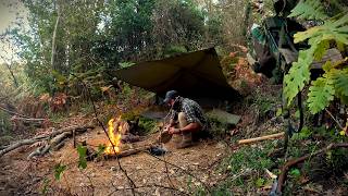 Adventurous Bushcraft Survival Camp Amidst Coyote Sounds [upl. by Hashim]