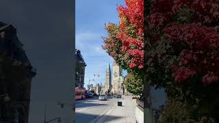 Ottawa 🇨🇦 Canada’s Capital of Culture and Charm… Guide in Description shorts ottawa canada [upl. by Harvey609]