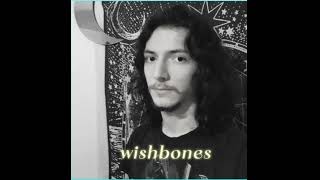 wishbones [upl. by Quinby]