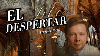 El despertar Eckhart tolle  Español latinodespertar presencia conciencia nuevatierra [upl. by Ahgem]