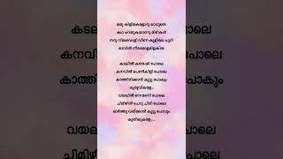 Kadalil kanmashi pole🎧💖malayalamsongs lyricsshorts malayalamlyricsbuddyshortsvideo [upl. by Cirad469]