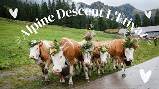 MUSTSEE TRADITIONAL SWISS FESTIVAL  Travel guide to Alpine descentAlpabzugDésalpe at LEtivaz [upl. by Asserrac]