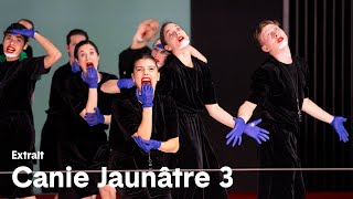 Canine Jaunâtre 3  Extrait [upl. by Enirahtak]