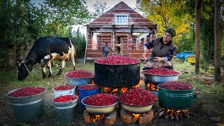 Preserving Flavor Making Delicious Dogwood Paste [upl. by Oiziruam]