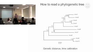 1 Phylogenetic analysis of pathogenslecture  part1 [upl. by Orvah982]