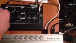 Moog Werkstatt controlled with a Roland TB303 [upl. by Issirk]