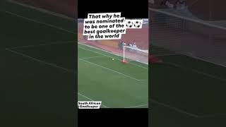 This goalkeeper is the best in the WORLD shorts football subscribe [upl. by Sherlocke611]