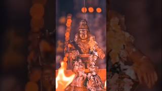 karthigai 1 WhatsApp status in Tamil💥Ayyappan videoTamil 💖 sabarimalai🥰karthigai 1💞ayyappanstatus [upl. by Airrej]