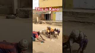 This is Kano Nigeria [upl. by Case329]