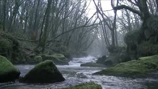 Ghost caught on camera in daylight on a Scottish river [upl. by Yelreveb]