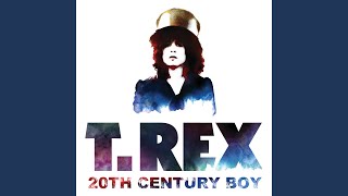 20th Century Boy [upl. by Ifen]