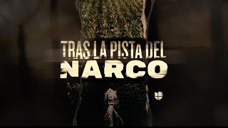 Llega la tercera generación de quotMonstruosquot del Narco [upl. by Navis]