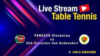 SCO Ossiacher See Bodensdorf vs PANACEO Stockerau  Grunddurchgang 202425 [upl. by Baynebridge]