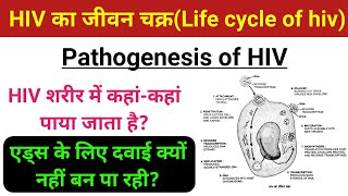 HIV का जीवन चक्र  Pathogenesis of hiv  Life Cycle of HIV  hiv aids ka jivan chakra hindi mein [upl. by Kerge]