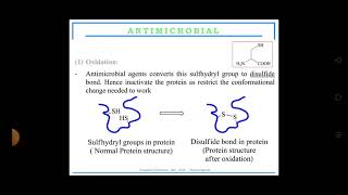 mechanism of action for antimicrobial agents By Ms Deepika [upl. by Alderman]