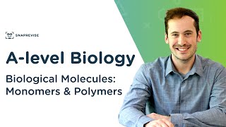 AS Biology  Tests for biological molecules OCR A Chapter 347 [upl. by Esten]