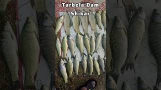 Fishing tarbela dam fishing viral youtube fishingshow [upl. by Portia]