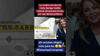 Audios de Caso de Cathy Barriga [upl. by Mcgruter]