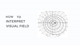 Interpretation of Normal Visual Field Central Vision Peripheral Vision Blind Spot Visual Field [upl. by Otanutrof]