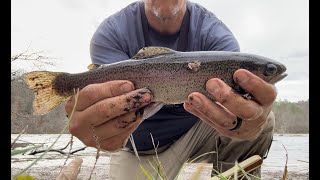 Hiwassee River trout fishing catch and release [upl. by Natsuj]