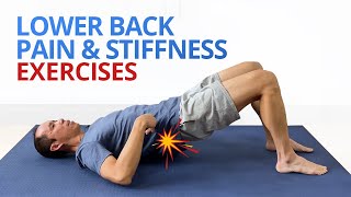 INSTANT RELIEF from Lower Back Pain and Stiffness 4 EASY Exercises [upl. by Alegna812]