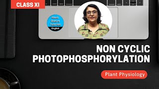 Non Cyclic Photophosphorylation  Plant Physiology  Class 11th  NEET amp AIIMS  Neela Bakore [upl. by Enicar770]