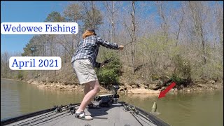 Lake Wedowee Fishing  April 2021 [upl. by Bjorn]