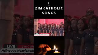 Zimbabwe Catholic Songs  Shorts Catholic Songs  Ndinouya Nezvichemo Zvangu [upl. by Ihculo]