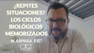 ¿REPITES SITUACIONES LOS CICLOS BIOLÓGICOS MEMORIZADOS 🧠 B827 Fernando Sánchez Biodesprogramación [upl. by Yekcor755]