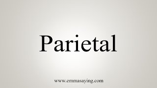 How To Say Parietal [upl. by Aerised]