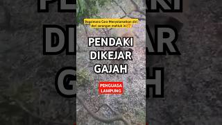 Pendaki Dikejar Gajah‼️kondego mountains hiking camping traveling pendaki survival [upl. by Norman990]