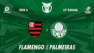 FLAMENGO X PALMEIRAS  11082024  BRASILEIRÃO  AO VIVO [upl. by Boyer159]