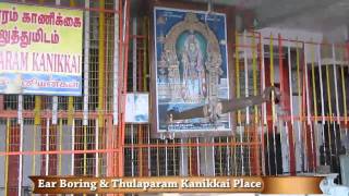 Palani Temple  Ear Boring amp Thulaparam Kanikkai Place [upl. by Dosh836]