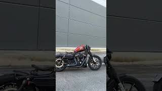 I Tried Two Modified Harley Davidson Sportsters for 30 Days Heres What Happened [upl. by Evelc263]