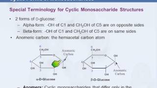 3B 710 Cyclic Forms of Monosaccharides [upl. by Chelsea]