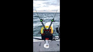 Dipsy Divers Explained  How we run them for Lake Erie Walleye [upl. by Namso]