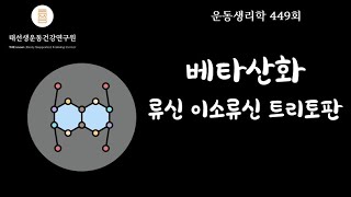 【449회】 유산소시스템베타산화 [upl. by Flower]