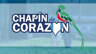 ChapÍn de Corazón  Artistas Guatemaltecos Video Oficial [upl. by Forbes]