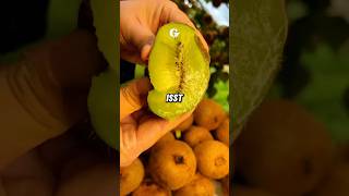 Jeden Tag Kiwi essen  Das passiert🥝😱 kiwi gesund [upl. by Egap]