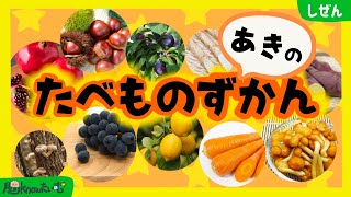 【秋の食べ物野菜果物図鑑】花と実がセットで覚えられる！Picture Book of Autumn food 知育アニメ・子ども向け知育動画 ・字幕付き 【 やさい くだもの 食育 】 [upl. by Ennove]