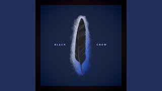 Black Crow [upl. by Sivrahc]