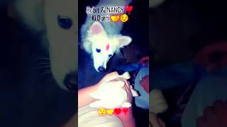 Nancy Our Robit Ki Dosti 💯🤝doglover lovedog shortvideo [upl. by Garihc497]