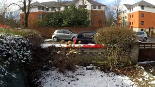 Manchester Snow Timelapse [upl. by Attiuqehs973]