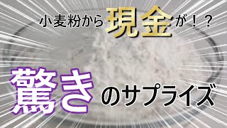 【衝撃】小麦粉から現金が！？衝撃のサプライズ！ [upl. by Aleen]