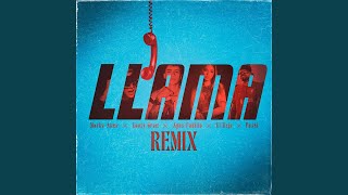 Llama Remix [upl. by Sulokcin265]