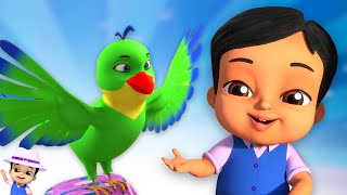 Main Tota Mithu Mithu Birds Song প্রধান টোটা Golu Molu Bangla Rhymes for Kids [upl. by Acirret744]