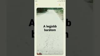 A leges legjobb barátom [upl. by Akisey]