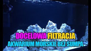 38 Glossy Reef 200  Filtracja  Tunze ReefPack 250  Akwarium morskie bez sumpa  Reef aquarium [upl. by Raynah]