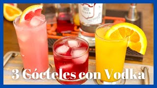 🍊 3 Cócteles FÁCILES y Económicos con VODKA ► Tragos con Vodka y Frutas [upl. by Ynnhoj216]