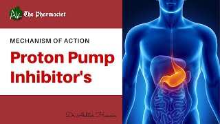 Proton Pump Inhibitors  Mechanism of Action [upl. by Friedlander402]